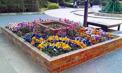 Other. flower bed