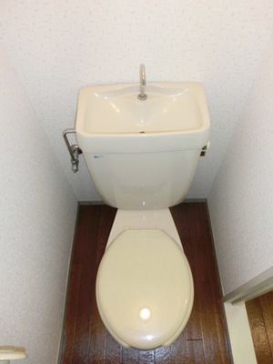 Toilet. Separated toilet