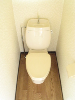 Toilet. Toilet