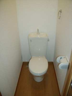 Toilet. Bidet can be installed