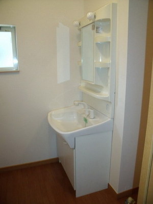 Washroom. Shampoo Dresser