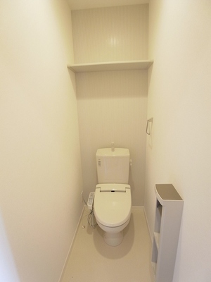 Toilet. Is a comfortable warm-water heating with toilet seat. 