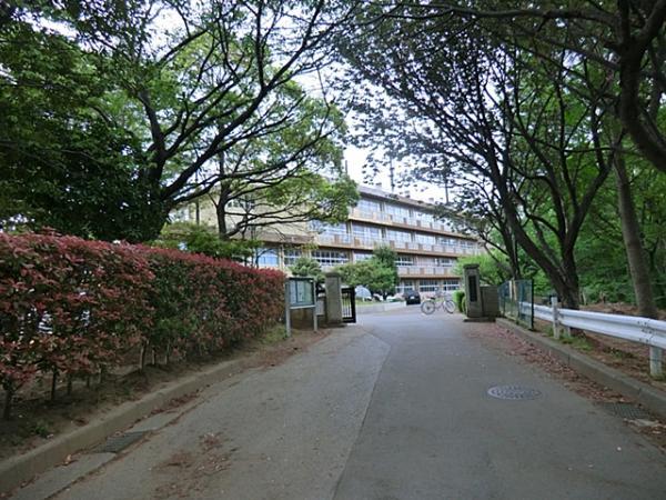 Junior high school. Amado is a 6-minute walk from up to 500m junior high school junior high school!