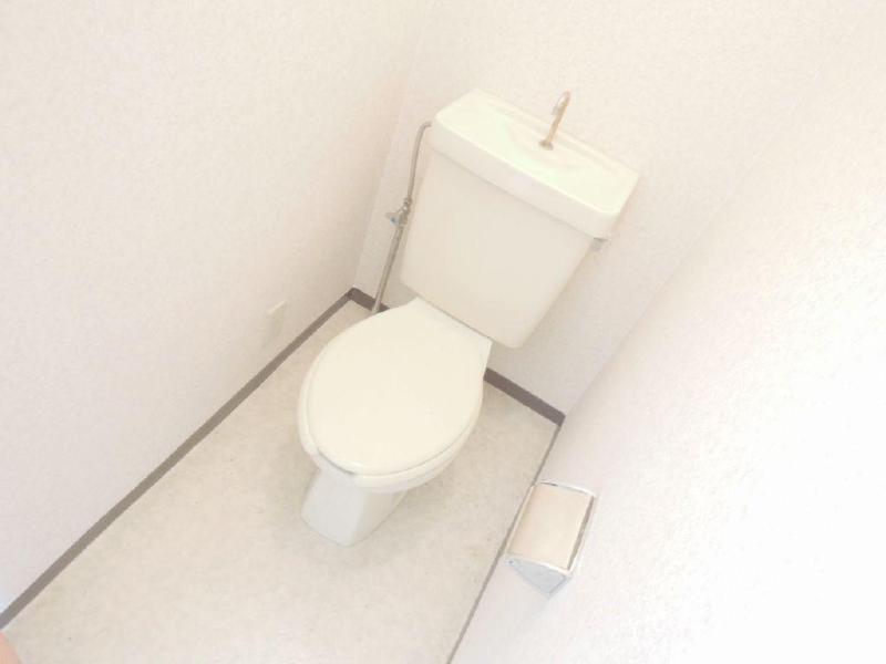 Toilet. It is a space with a beautiful, clean feeling