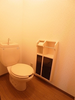 Toilet. It is a toilet with a wall store. 