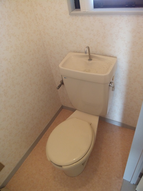 Toilet. Of course, it is separate from the bath