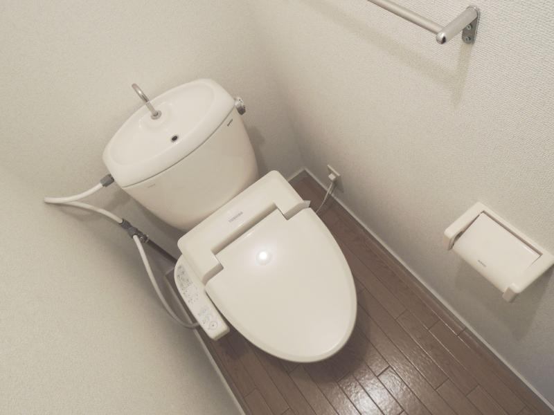 Toilet. Rest room with bidet function.