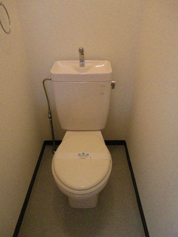 Toilet. Standard toilet