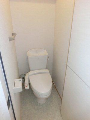 Toilet. Toilet with a bidet