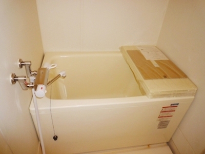 Bath. Typical indoor photo. There is a convenient automatic hot water-covered function