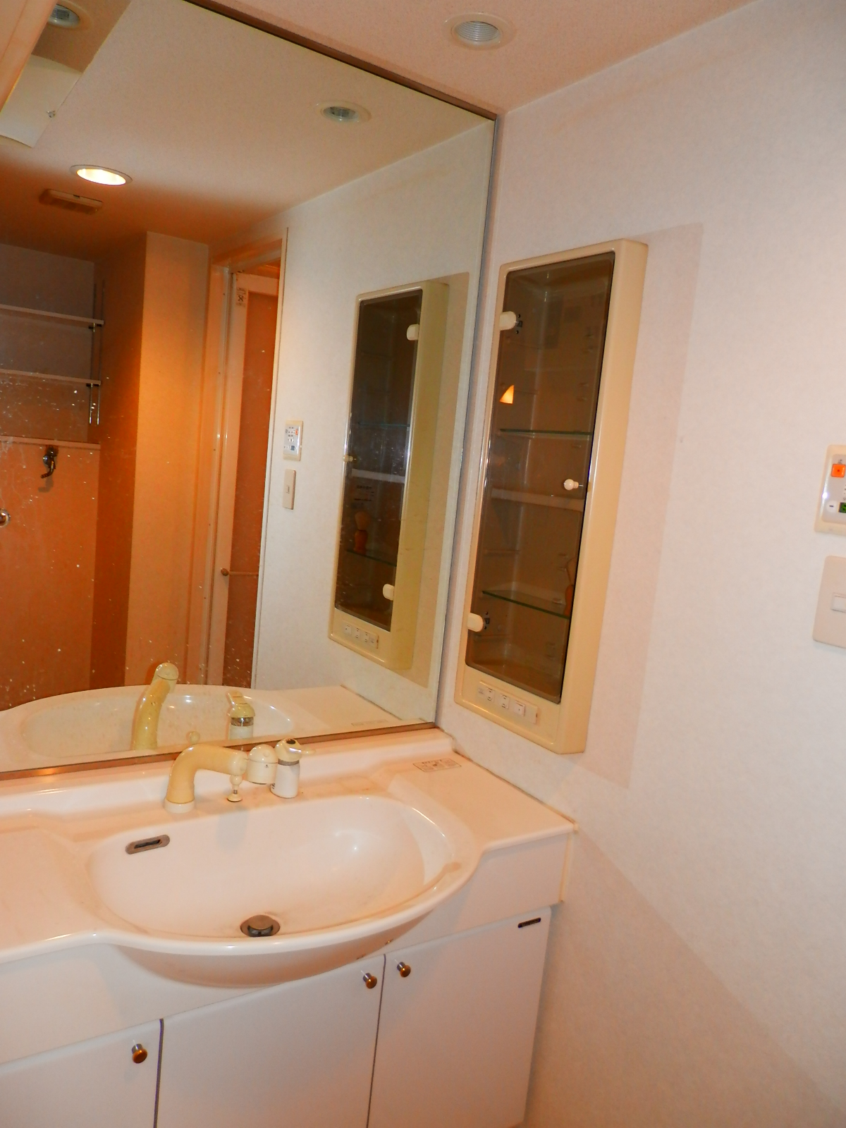 Washroom. Spacious wash basin, such as luxury hotel