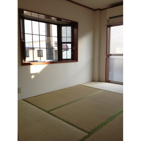 Other room space. Japanese style room