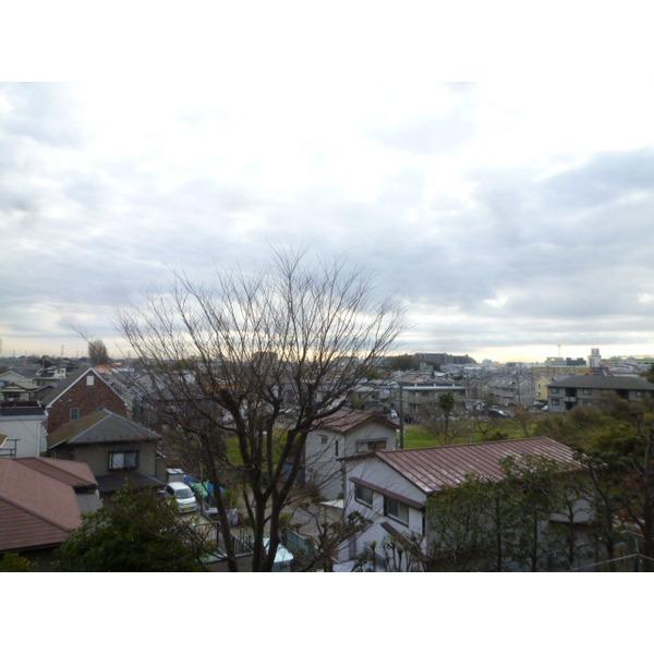 Other introspection. View