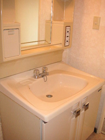 Washroom. Bathroom vanity