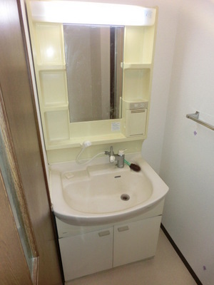 Washroom. Shampoo dresser