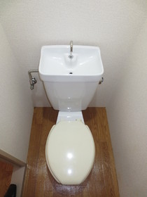 Toilet. Place to settle down