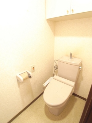 Toilet. Typical indoor photo Is hanging cupboard is convenient toilet.