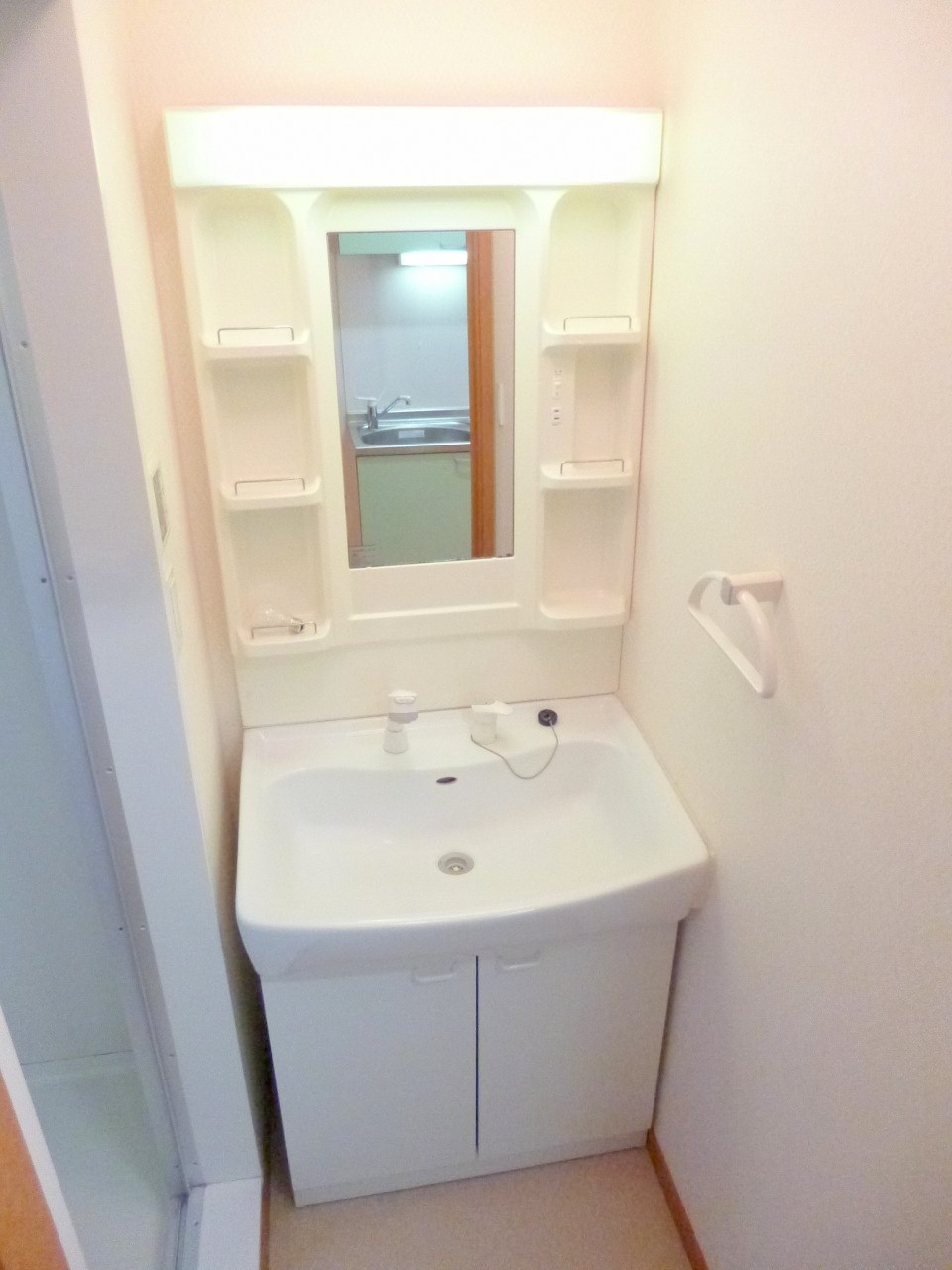 Washroom. Shampoo dresser