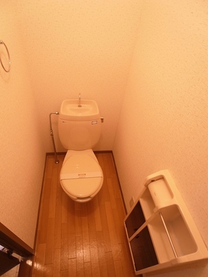 Toilet. There is a compact storage in the toilet. 
