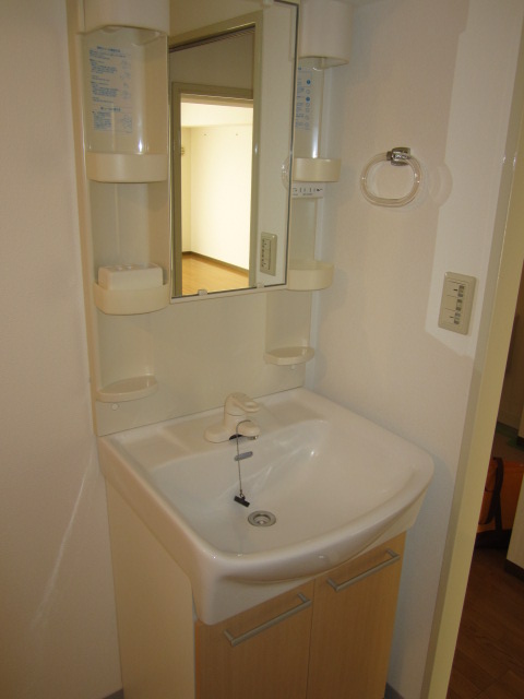 Washroom. Bathroom vanity