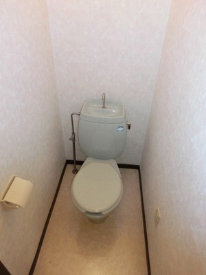 Toilet. Toilet