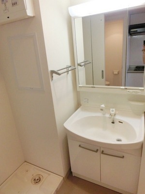 Washroom. Shampoo dresser (the same type)