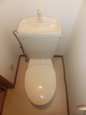 Toilet. Toilet