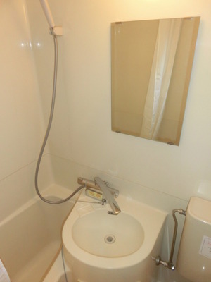 Washroom. Washbasin with mirror