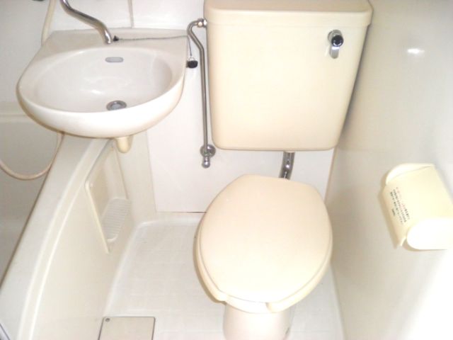 Toilet. Toilet