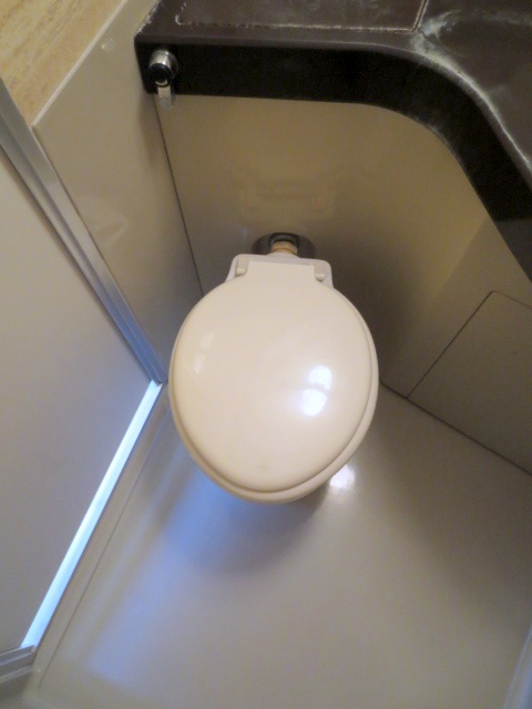 Toilet.  ※ It is a photograph of 301, Room.