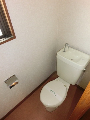 Toilet. There toilet window