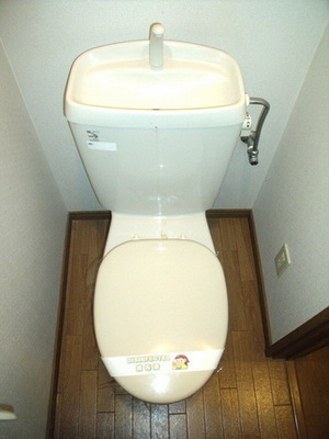 Toilet. Separate toilet