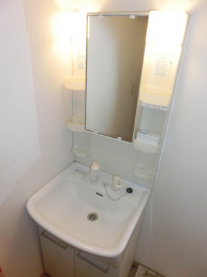 Washroom. Shampoo dresser equipped