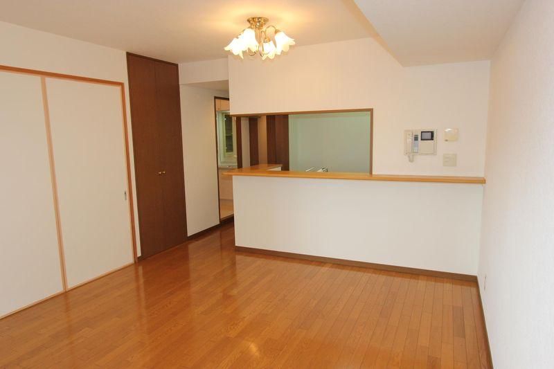 Kitchen. The entire photo of living