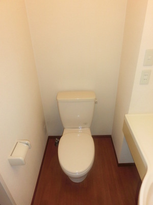 Toilet. Separated toilet