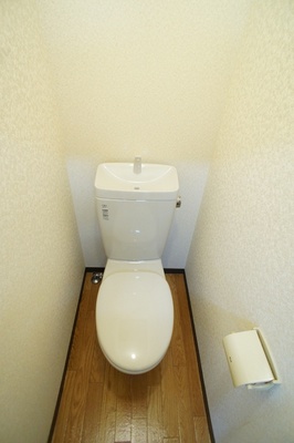 Toilet. Toilet