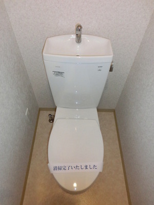 Toilet. Toilet