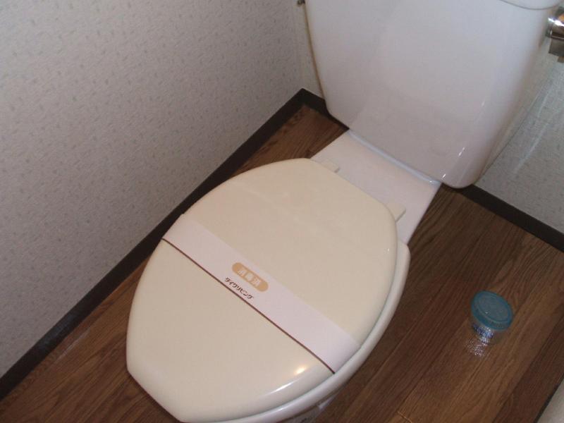 Toilet. Becoming clean with a clean space!