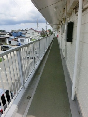 Entrance. Joint corridor