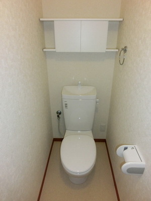 Toilet. Cleaning toilet seat is also mounting Allowed