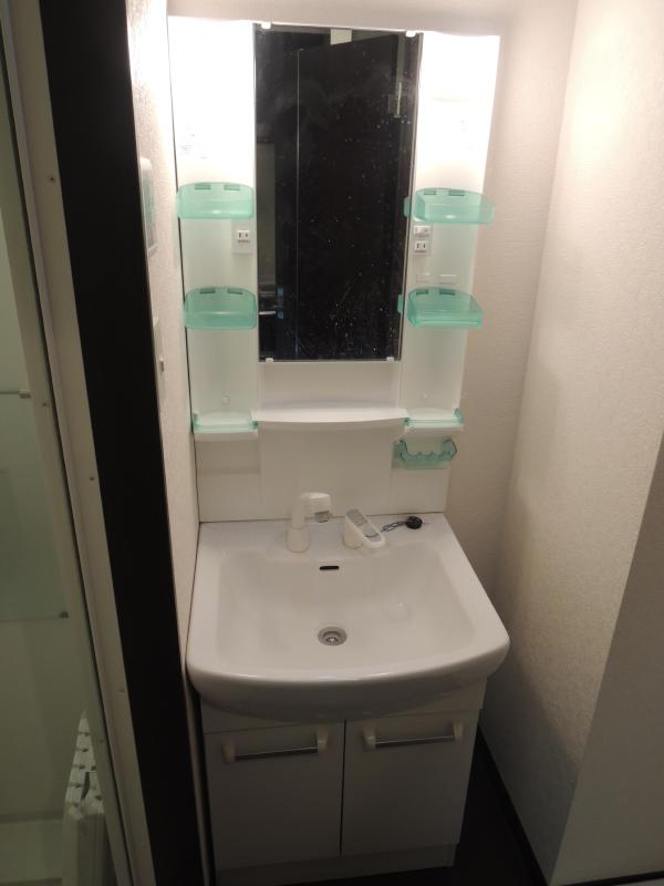 Washroom. Independent wash basin that can shampoo.