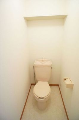 Toilet. It is a beautiful toilet.