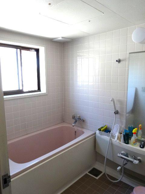 Bathroom. 1620 size system bus of the room (11 May 2013) Shooting