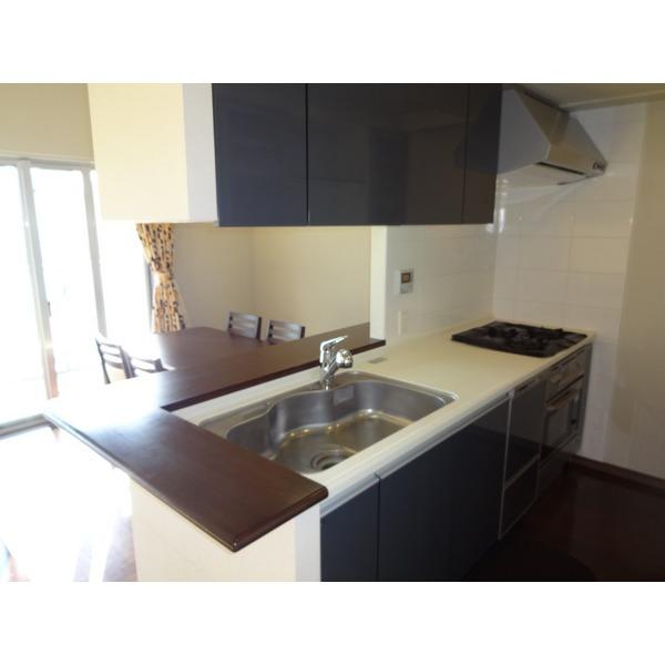 Kitchen. Counter Kitchen