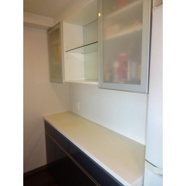 Other introspection. Concrete with cupboard