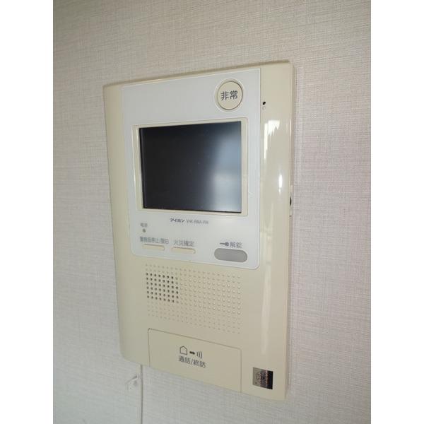 Other introspection. TV monitor phone