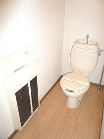 Toilet. It is an important space