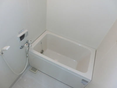 Bath. Bathroom with reheating