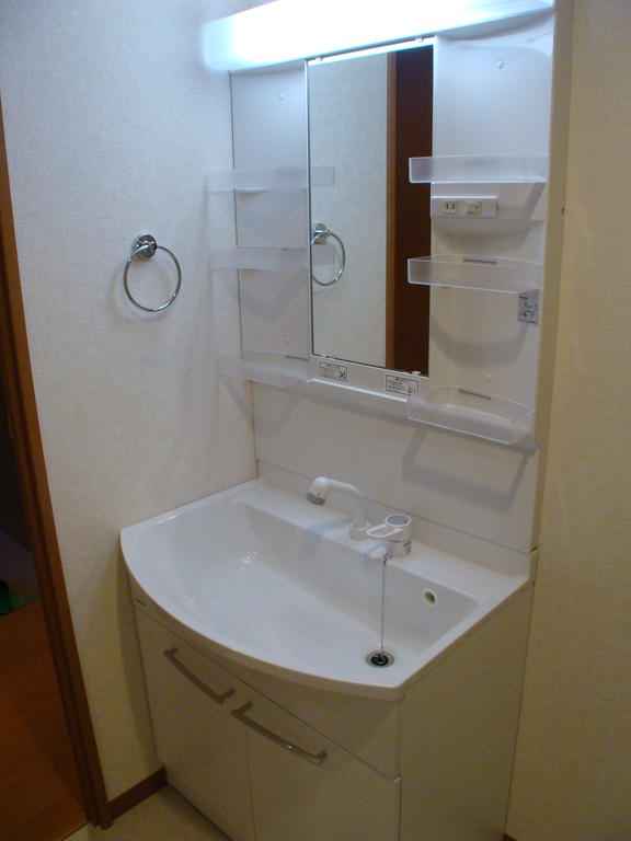 Washroom. Shampoo dresser