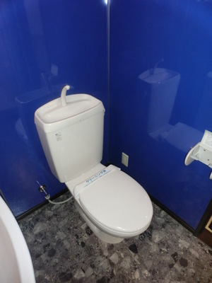 Toilet. Separated toilet